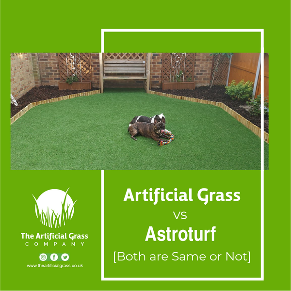 Artificial Grass vs Astroturf
