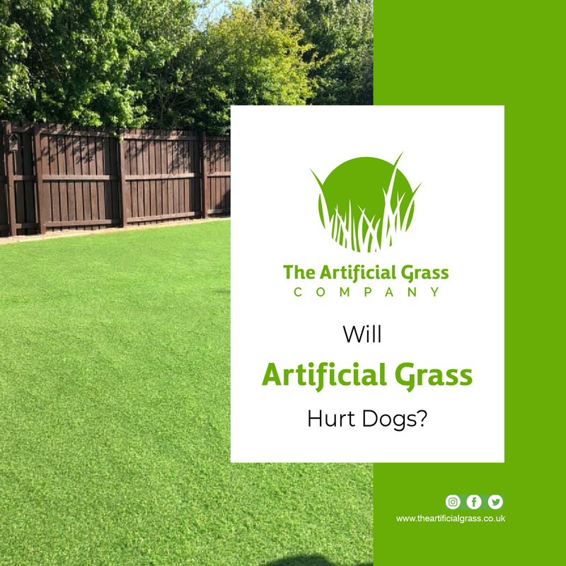 Will Artificial Grass Hurt Dogs? 
