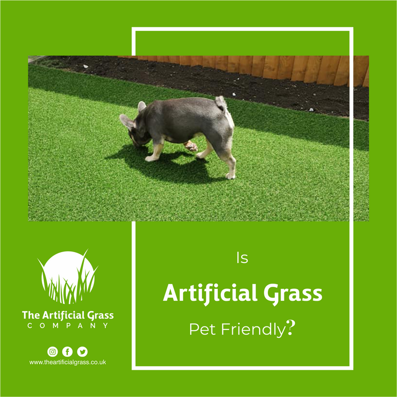 Pet friendly Artificial Grass | Artificial Turf for Dogs and Animals