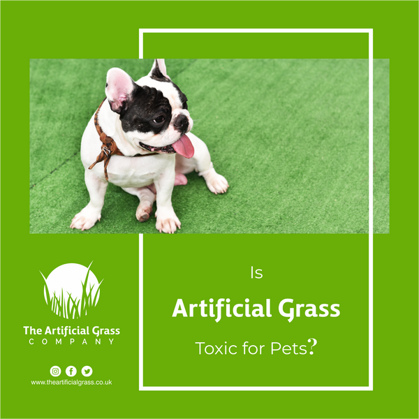 Is Artificial Grass Toxic for Pets?