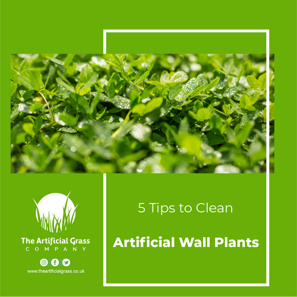 Clean Artificial Wall Plants With These 5 Tips