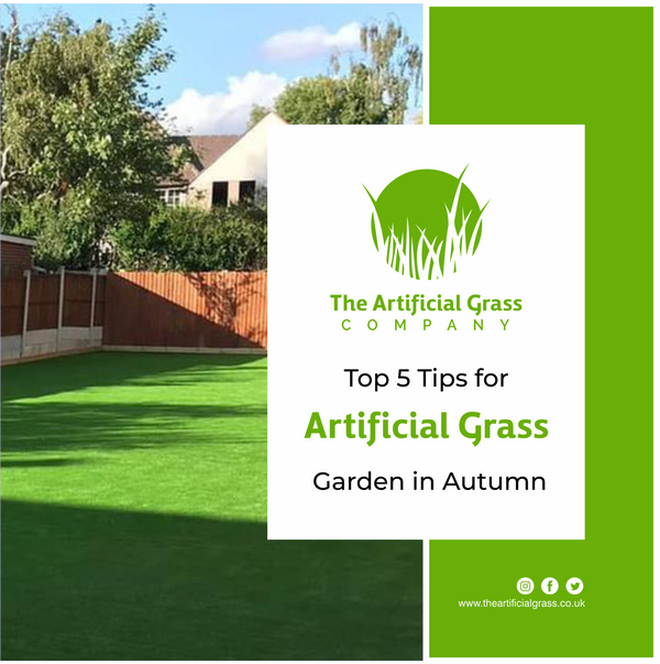 Tips for Artificial Grass Garden in Autumn