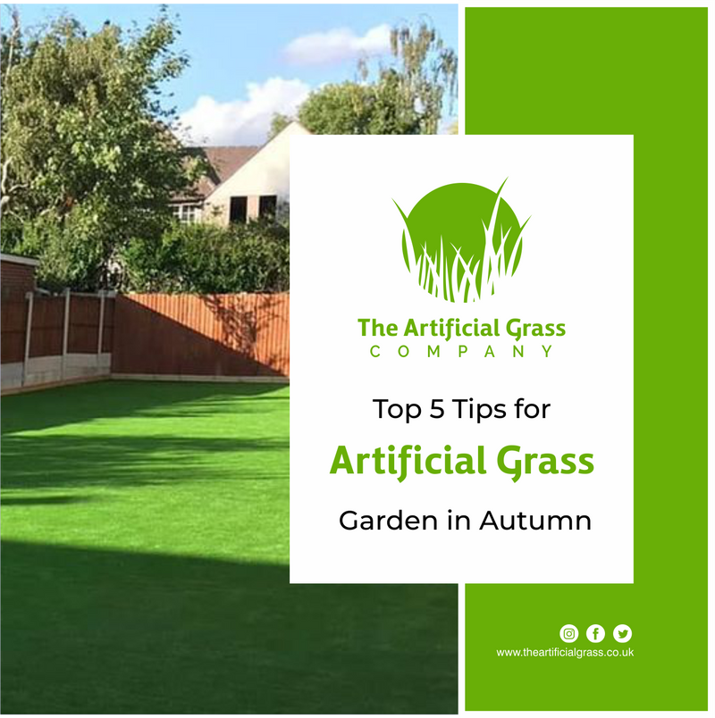 Tips for Artificial Grass Garden in Autumn