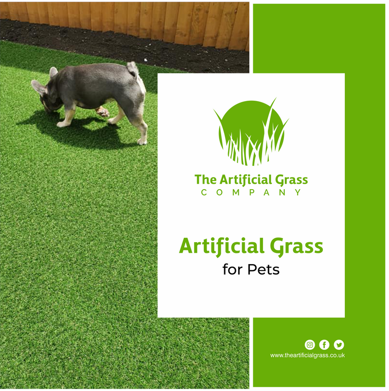 Every Pet is a Winner With Artificial Grass!
