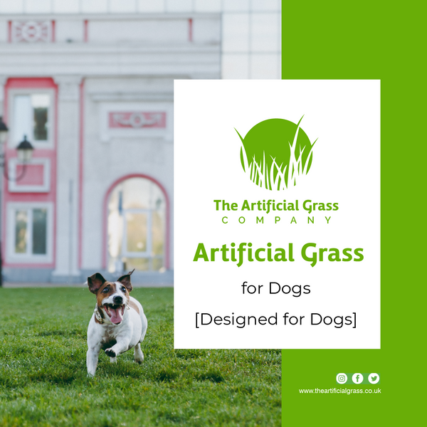 Artifical Grass for Dogs [ Designed for Dogs]