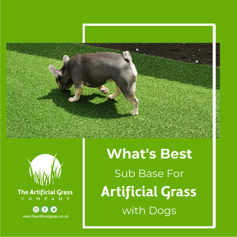 What's Best Sub Base For Artificial Grass with Dogs?