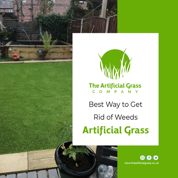Best Way to Get Rid of Weeds in Artificial Grass
