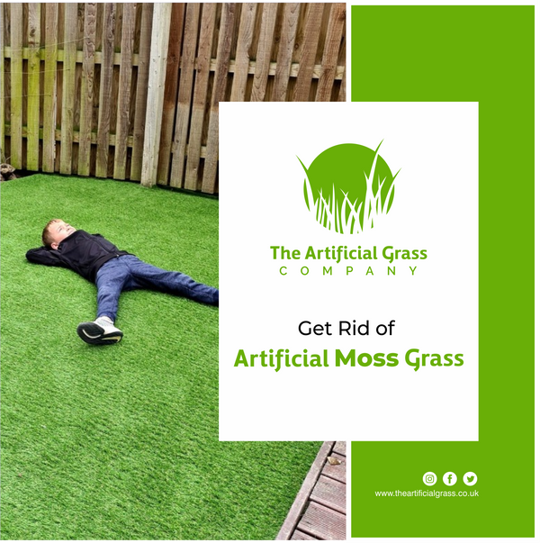 Get Rid of Artificial Moss Grass