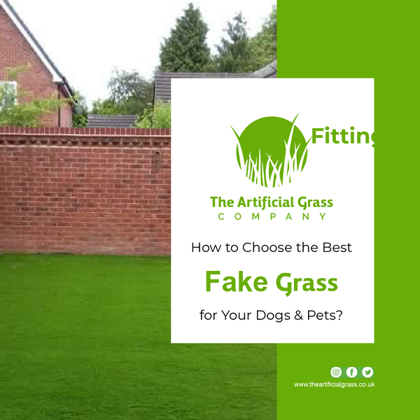 How to Choose the Best Fake Grass for Your Dogs & Pets?