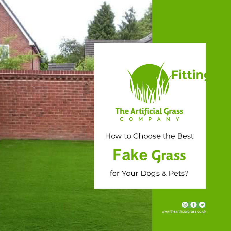 How to Choose the Best Fake Grass for Your Dogs & Pets?
