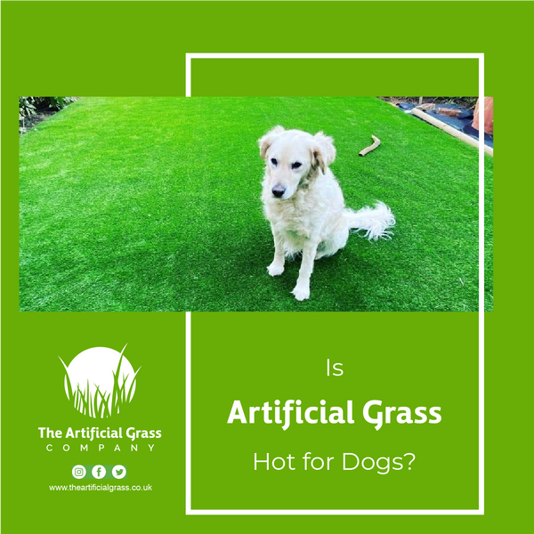 Is Artificial Grass Hot for Dogs?