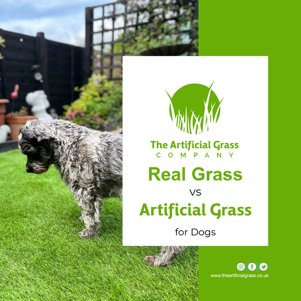 Real Grass vs Artificial Grass for Dogs