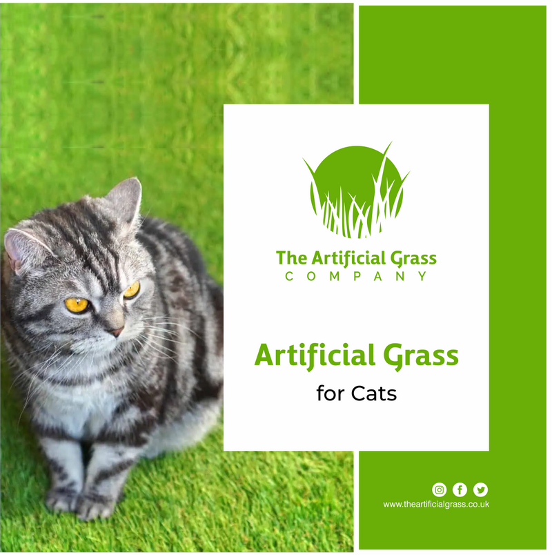 Artificial Grass for Cats - Safe & Clean to Use