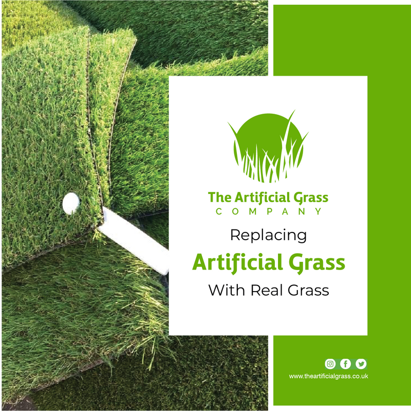 Replacing Artificial Grass with Real Grass