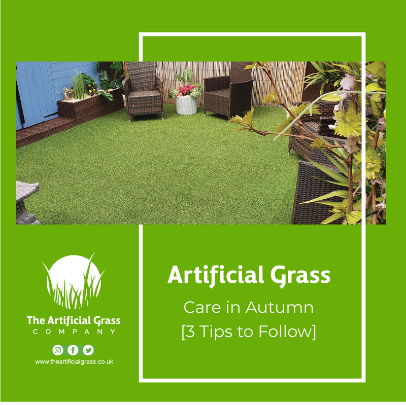 Artificial Grass Care