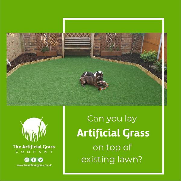 Can You Lay Artificial Grass on Top of Existing Lawn?
