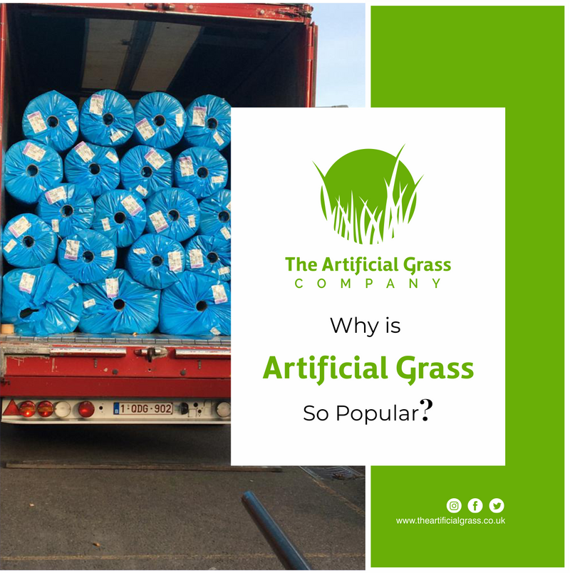 Why is Artificial Grass Becoming Popular? | Know 5 Main Reasons