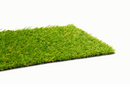 Artificial Grass Samples
