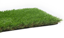 Artificial Grass Samples