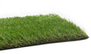 Artificial Grass Samples
