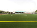 Power Play 30mm Sports Artificial Grass £19.99/m2