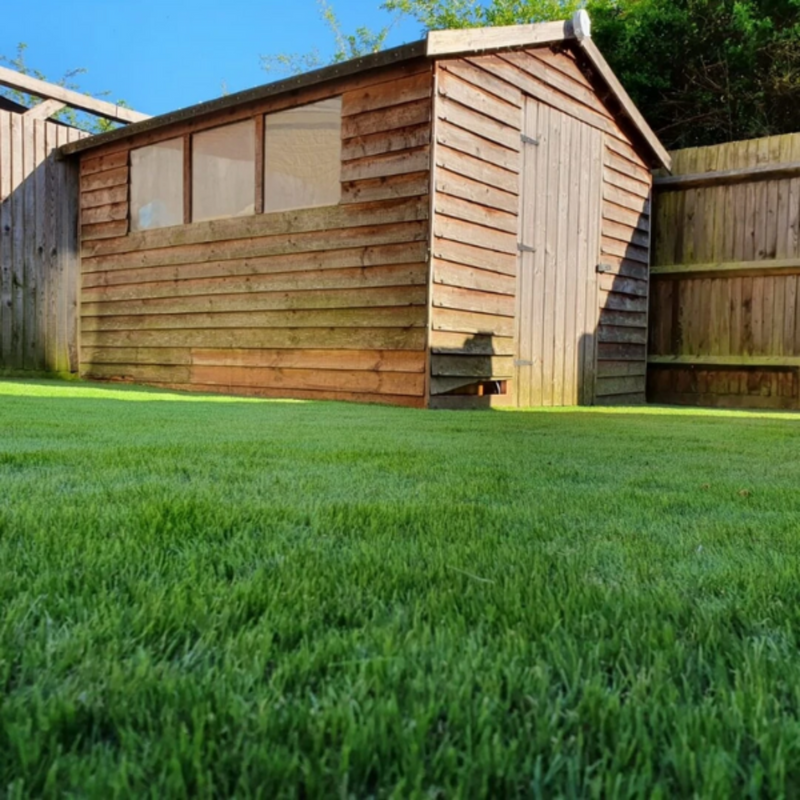 Real client picture of 42mm Artificial Grass